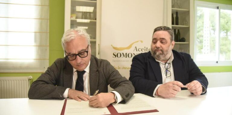 El Aceite del Somontano obtiene la PNT para comercializarse como DO en España aceite somontano