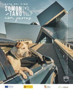 perros Ruta Vino Somontano