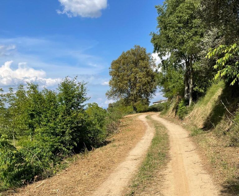 Cultivo de la tierra con el cielo Barbastro caminos rurales