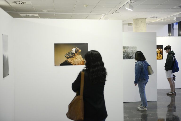 Emosido engañado: exposición de ascendencia analógica, azarosa e indisciplinada