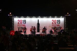 festival vino somontano 2025 (