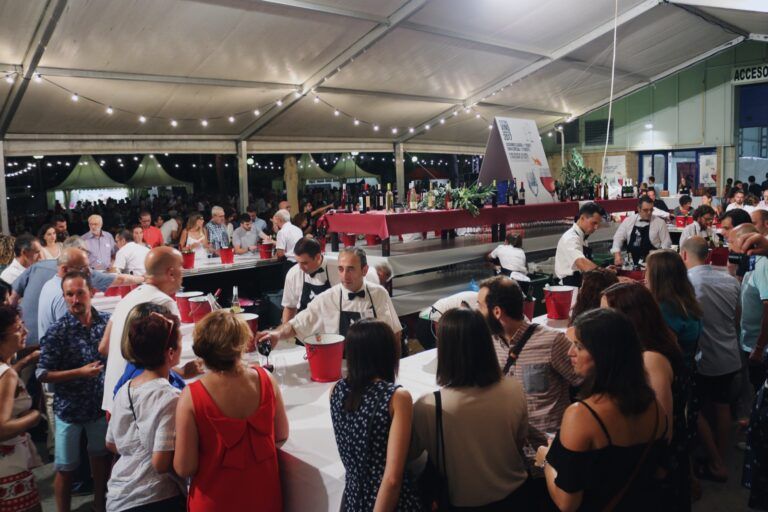 Festival Vino Somontano 2025: 25 años de vino, gastronomía y experiencias únicas en Barbastro festival vino somontano 2025 (