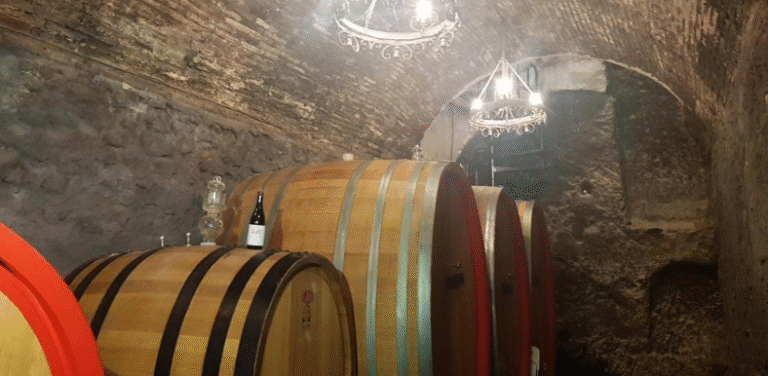 Ayudas para promover el vino aragonés fuera de la UE ayudas vino aragonés