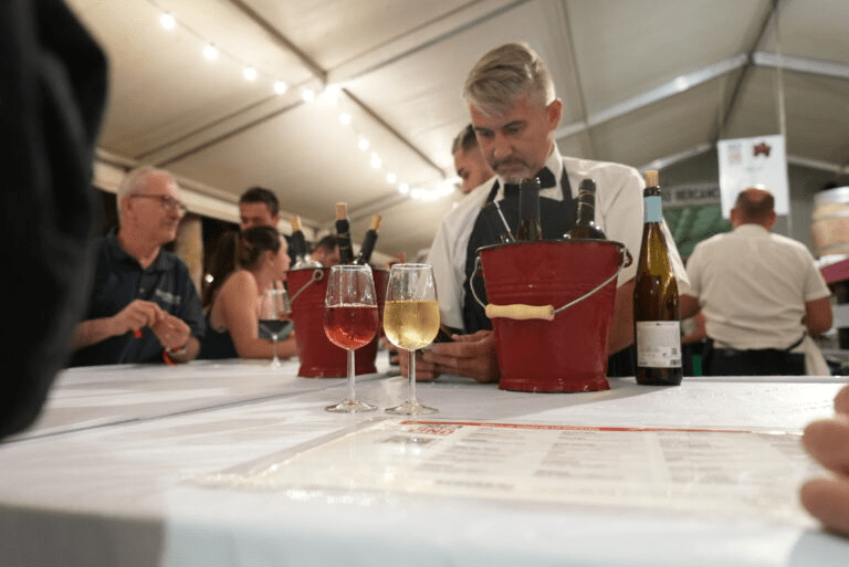 Enoturismo Somontano en verano: visitas, catas y experiencias únicas Enoturismo Somontano