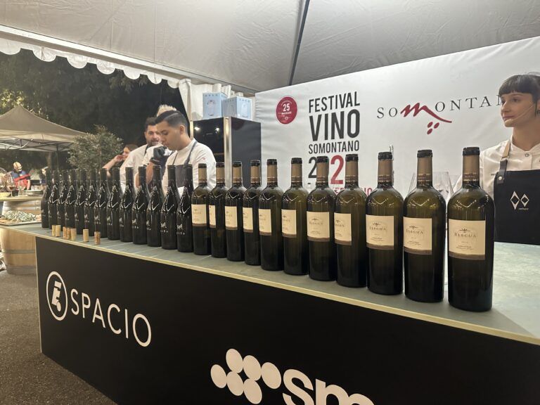 El Festival Vino Somontano despide su vigésimo quinto aniversario con un rotundo éxito festival vino somontano