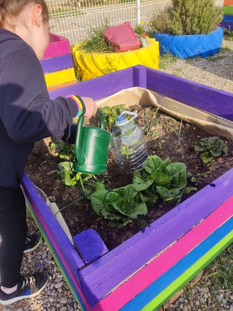 Alumnos de Alcolea de Cinca aprenden a cultivar en huertos ecológicos proyecto educación ambiental alcolea de cinca