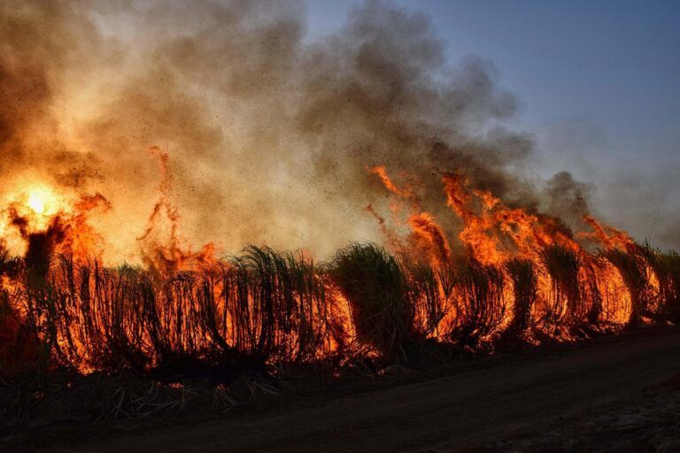 Pedro Sánchez incendios