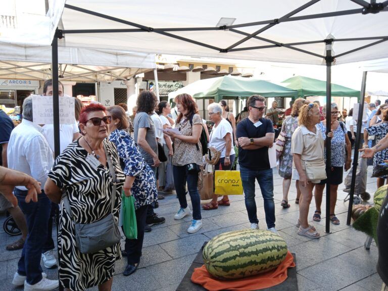 Una sandía de 76 kilos, la pieza más espléndida en Barbastro MuestradeHortalizas.RondaSomontano