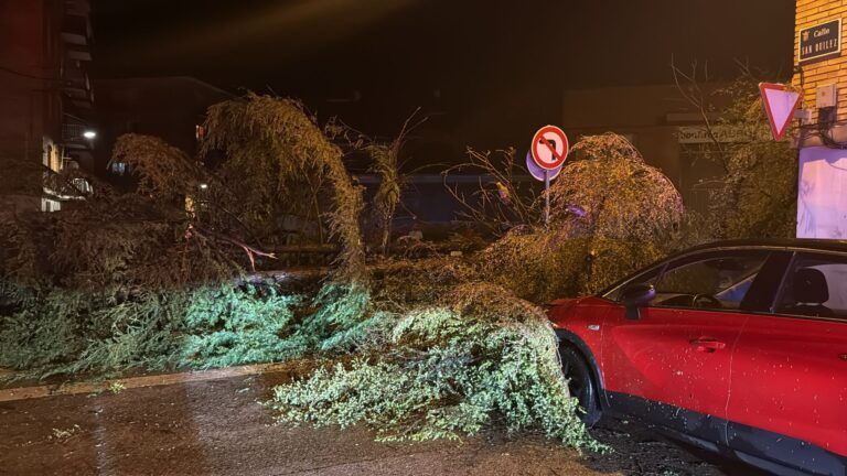 Una tromba de agua, viento y granizo arranca arbolado y anega locales en Binéfar arranca arboles