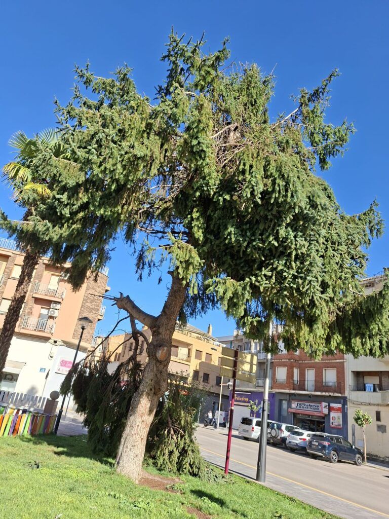 Afecciones por la tormenta de anoche en Binéfar tormenta Binéfar