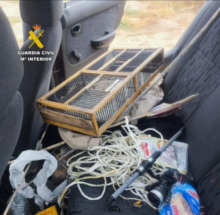 Guardia Civil investiga a dos personas por un delito contra la flora y la fauna ocurrido en el término municipal de La Sotonera guardia civil huesca
