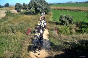 encuentro ecuestre Castejón del Puente