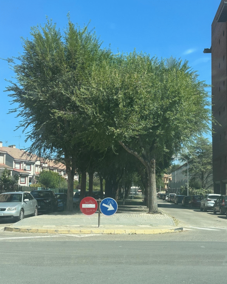 Barbastro avanza en reforma del Paseo Valles y Camino Costean paseo de los valles barbastro