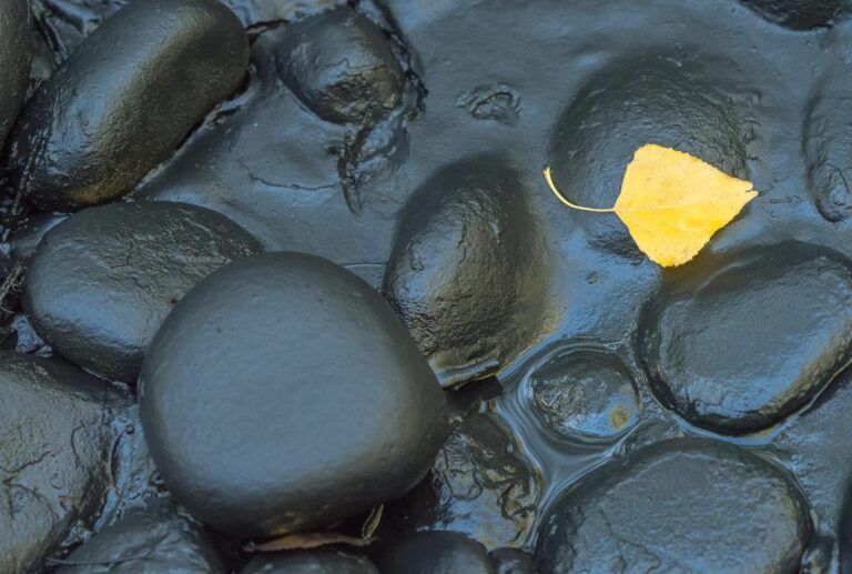 Vertido en el Río Cinca.