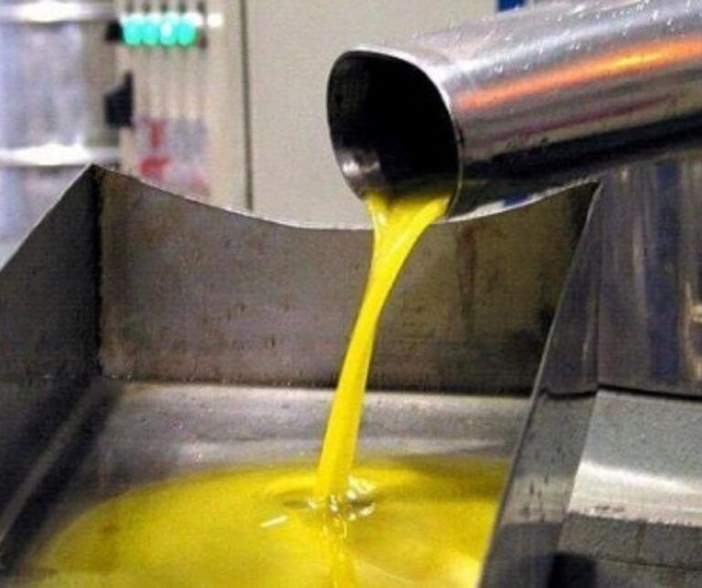 aceite del somontano