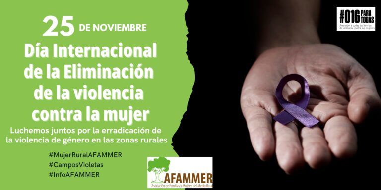 manifiesto 25n