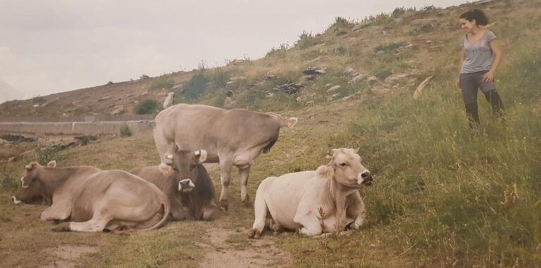 Las mujeres rurales ganan liderazgo y peso en Aragón mujeres rurales Aragón