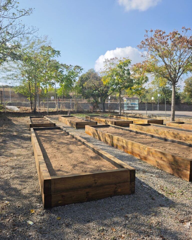 Curso gratuito de horticultura ecológica en Barbastro-PLAZAS CUBIERTAS
