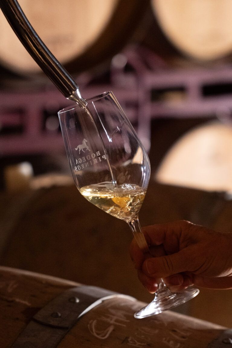 Bodega Pirineos anuncia nuevas sesiones de “Tiempo Líquido” Bodega Pirineos.