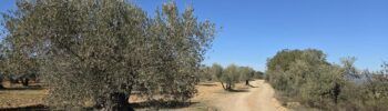 caminos rurales Barbastro