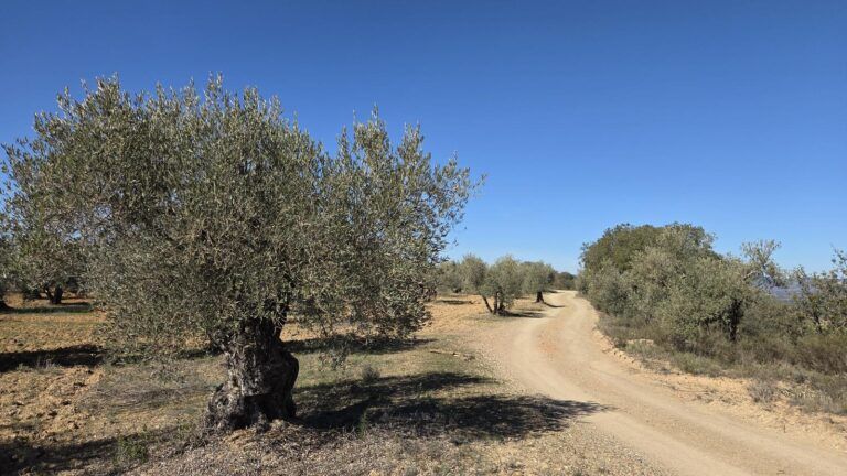 Barbastro recibirá más de 90.000 euros del Plan de Caminos de la DPH caminos rurales Barbastro