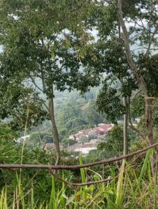 Colombia.
