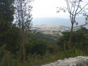 Colombia_RondaSomontano
