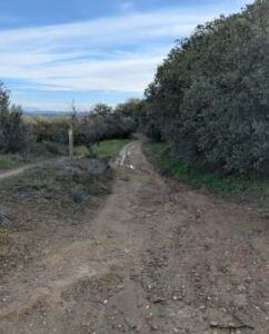 Camino de Barbastro.