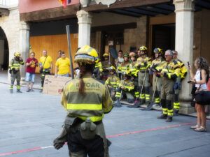bomberos forestales aragon