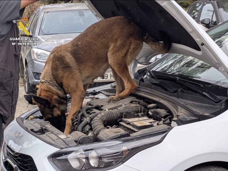 Un perro de la Guardia Civil inspecciona el motor de un vehículo durante una operación contra el presunto tráfico de drogas en Monzón, en el Cinca Medio.
